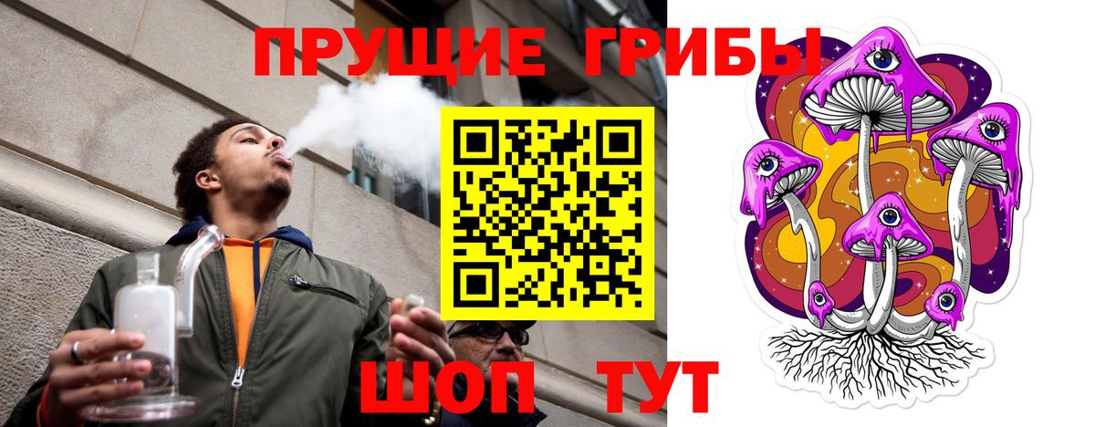 Псилоцибиновые грибы Psilocybine cubensis Сафоново
