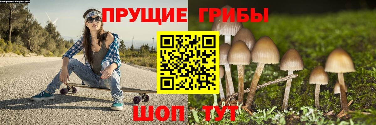 Галлюциногенные грибы Psilocybe  Вход с VPN  Сафоново 